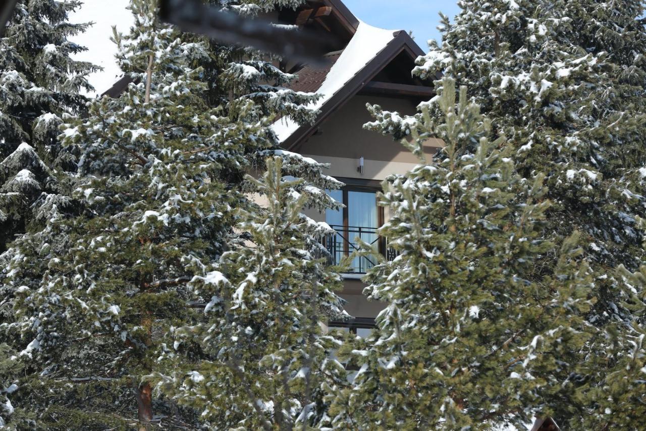Mipet Apartmani Zlatibor Exterior photo